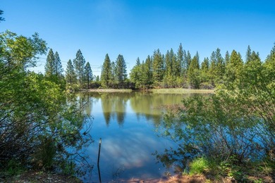 Outdoor Paradise! Imagine yourself here! A large, private, 2+ - photo 1