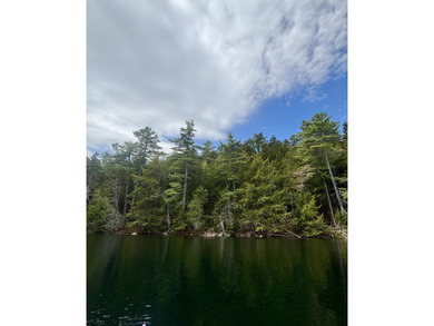 Waterfront lot on Heart Pond with approximately 228' of frontage - photo 2