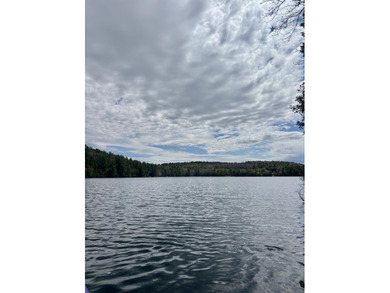 Waterfront lot on Heart Pond with approximately 228' of frontage - photo 4
