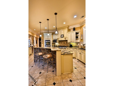 Luxurious Mansion in a country setting with all the EXTRAS !! - photo 7