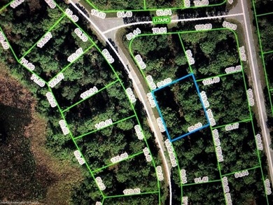 Wooded lot located in Sun N Lake of Sebring Fl. The neighboring - photo 1