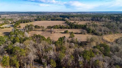 (private lake, pond, coastal) Acreage For Sale in Mount Enterprise Texas