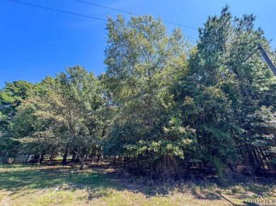This property radiates remarkable potential for anyone looking - photo 44