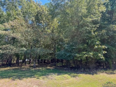 This property radiates remarkable potential for anyone looking - photo 45