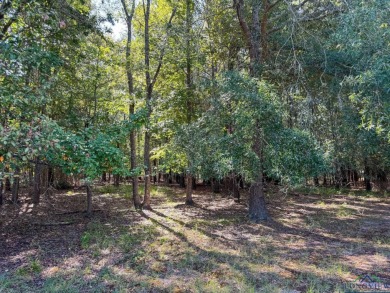 This property radiates remarkable potential for anyone looking - photo 46