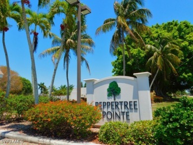 Lake Condo For Sale in Fort Myers, Florida