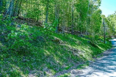 Very nice buildable lot within walking distance to the Beech - photo 1