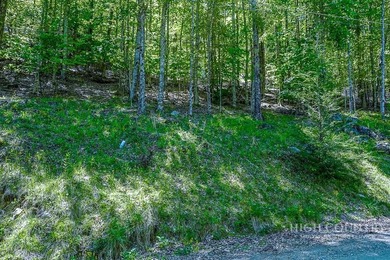 Very nice buildable lot within walking distance to the Beech - photo 3