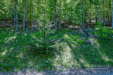 Very nice buildable lot within walking distance to the Beech - photo 4