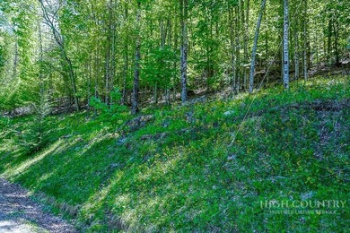 Very nice buildable lot within walking distance to the Beech - photo 5