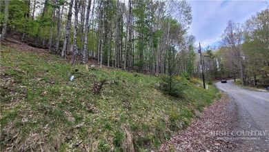 Very nice buildable lot within walking distance to the Beech - photo 8