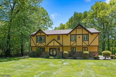 Lake Home For Sale in Mount Olive Twp., New Jersey