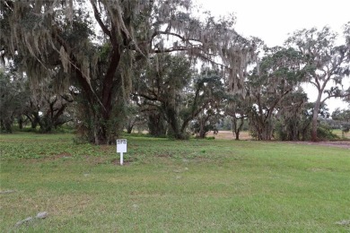 Lake Arrowtree Lot For Sale in Groveland Florida