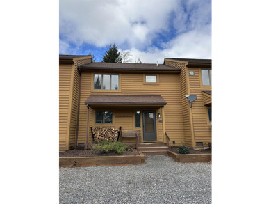 Lake Condo For Sale in Davis, West Virginia