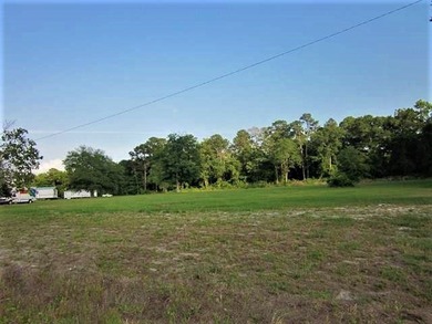 Little River... North Myrtle Beach... 5 Acre Commercial Track - photo 11