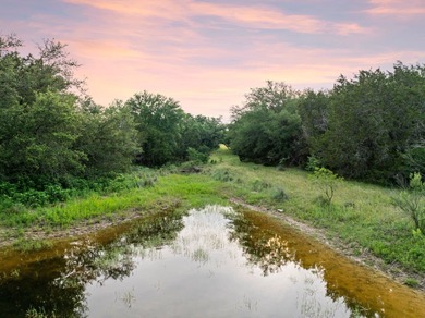 50 Acres at Muleshoe Bend! Large, undeveloped and unrestricted - photo 11