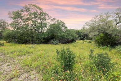 50 Acres at Muleshoe Bend! Large, undeveloped and unrestricted - photo 12
