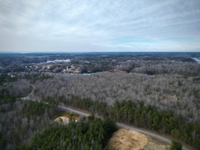 Contiguous to Smith Lake's Timberidge with 25 acres and 615 feet - photo 12
