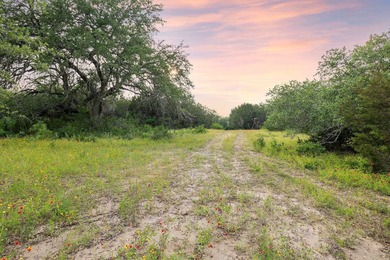50 Acres at Muleshoe Bend! Large, undeveloped and unrestricted - photo 13