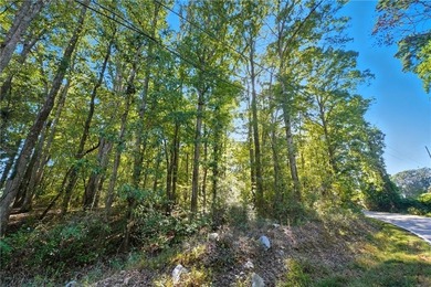 (private lake, pond, creek) Acreage For Sale in Villa Rica Georgia