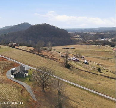 PRICED BELOW APPRAISAL!!! A RARE FIND!!! AN ALMOST NEW RANCHER - photo 28