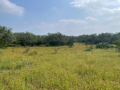 50 Acres at Muleshoe Bend! Large, undeveloped and unrestricted - photo 29