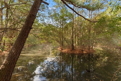 In the middle of Georgetown's charming Maryville neighborhood is - photo 39