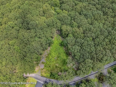 Moosic Lake Lot Cleared exactly how you'd want it to be! Wooded - photo 1