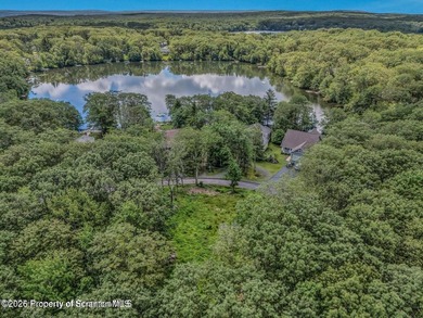 Moosic Lake Lot Cleared exactly how you'd want it to be! Wooded - photo 4