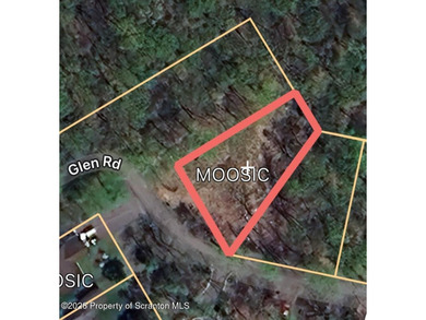 Moosic Lake Lot Cleared exactly how you'd want it to be! Wooded - photo 6