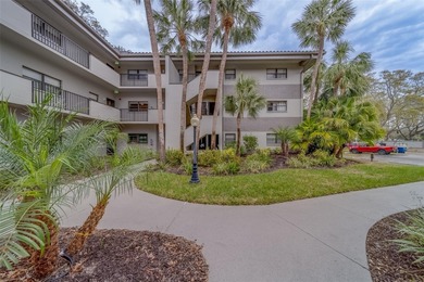 (private lake, pond, coastal) Condo For Sale in Clearwater Florida