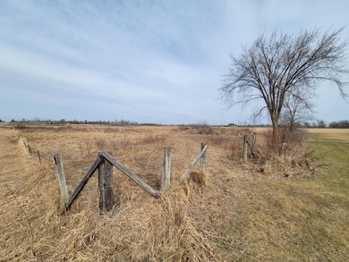 Here is your incredible custom built country home on 10 acres - photo 14