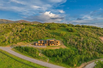 Welcome to this newly constructed home for all seasons in Alpine - photo 50