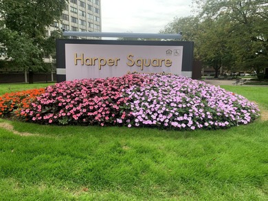 Lake Michigan - Cook County Home Active Under Contract in Chicago Illinois