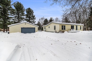 Lake Home For Sale in Hart, Michigan