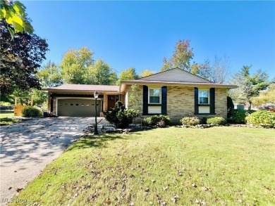 Lake Home For Sale in Conneaut, Ohio