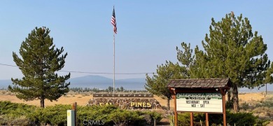 Lake Lot For Sale in Alturas, California