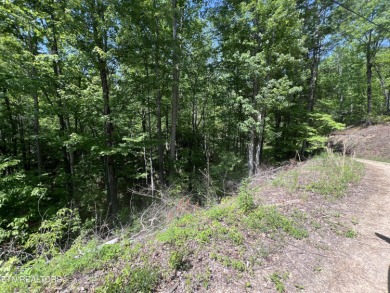 Lake Lot For Sale in Sevierville, Tennessee