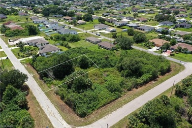 Lehigh Acres Area Lot For Sale in Lehigh Acres Florida