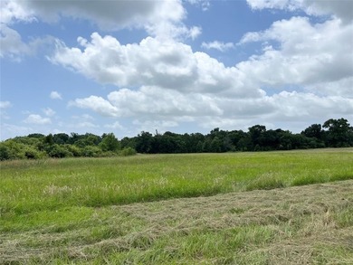 (private lake, pond, creek) Acreage For Sale in Mabank Texas