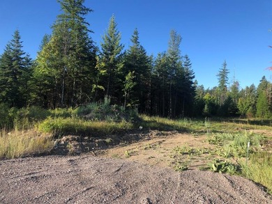 Beautiful lot in the desirable Kootenai Woods neighborhood near - photo 4