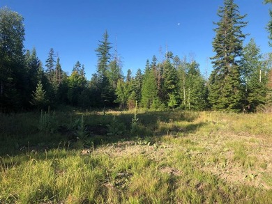Beautiful lot in the desirable Kootenai Woods neighborhood near - photo 5