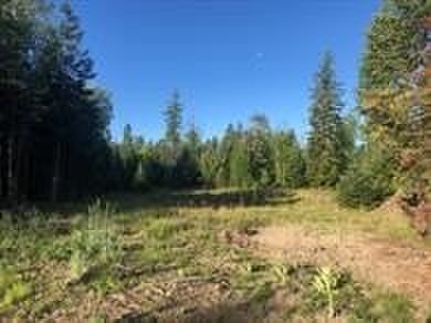 Beautiful lot in the desirable Kootenai Woods neighborhood near - photo 6