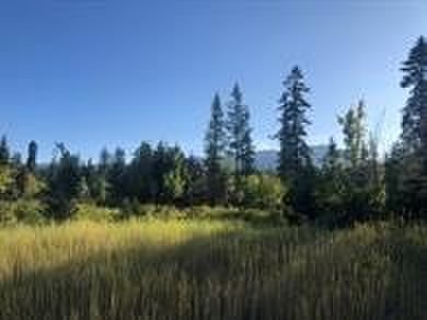 Beautiful lot in the desirable Kootenai Woods neighborhood near - photo 9