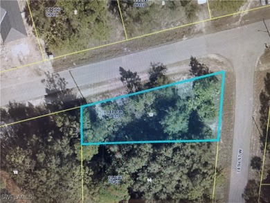 Lehigh Acres Area Lot For Sale in Lehigh Acres Florida