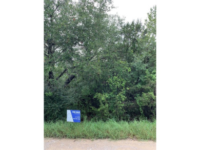 Lake Granbury Lot For Sale in Granbury Texas