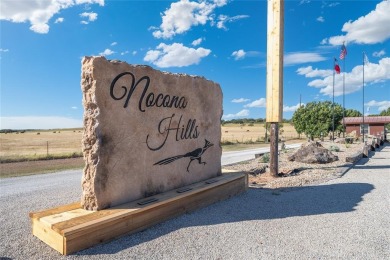 Lake Nocona Lot For Sale in Nocona Texas