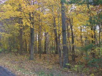 Lake Lot For Sale in Saugatuck, Michigan