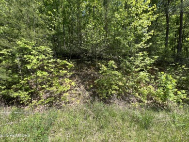 Lake Lot For Sale in Sevierville, Tennessee
