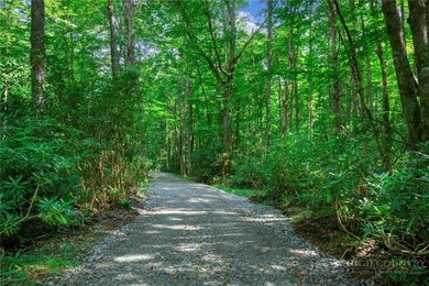 This is a one of a kind property situated in the Elk River Club - photo 5